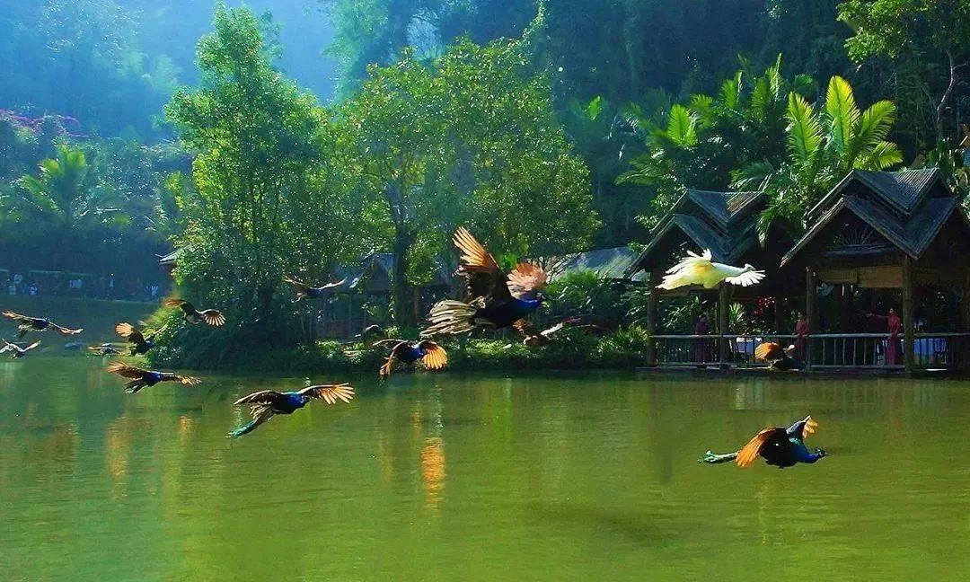 世纪之案