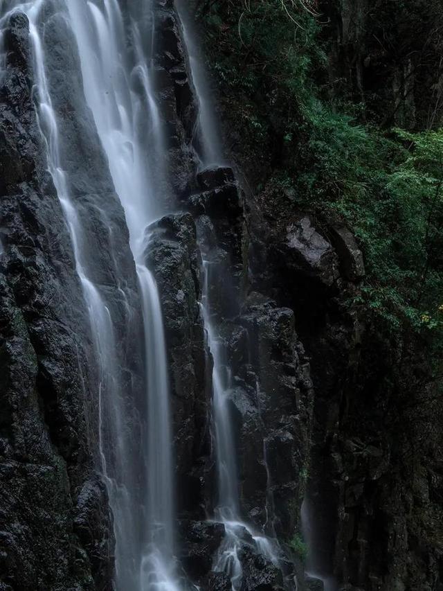 美人鱼游玩