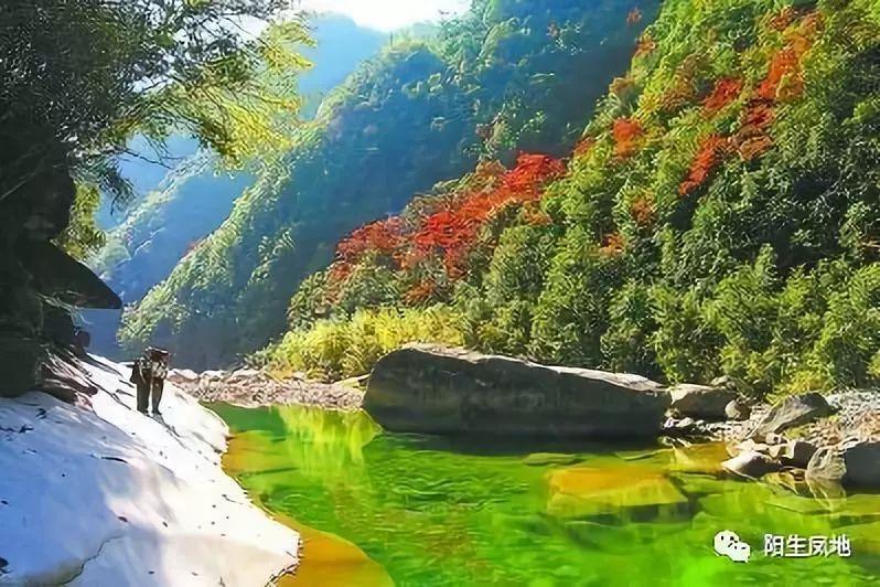 动物帮帮忙保卫家园